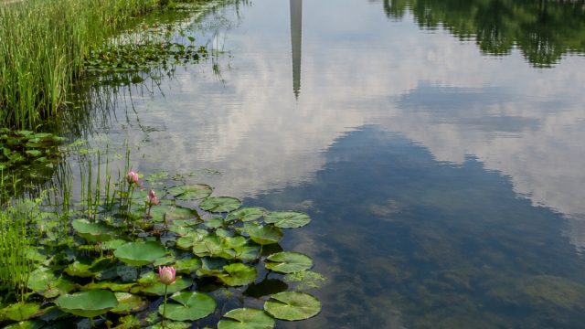 Reimagining the Reflecting Poo